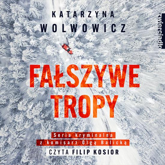 2. Fałszywe tropy K. Wolwowicz - 22. Fałszywe tropy.jpg